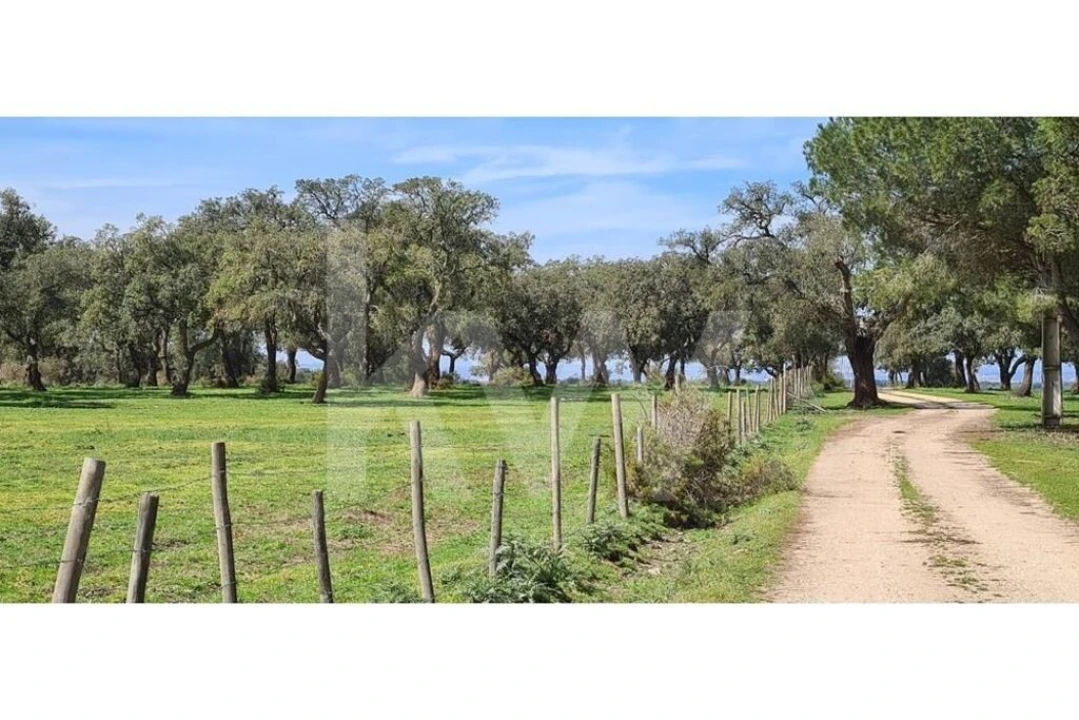 Quinta T4 para Venda em Benavente Foto 20