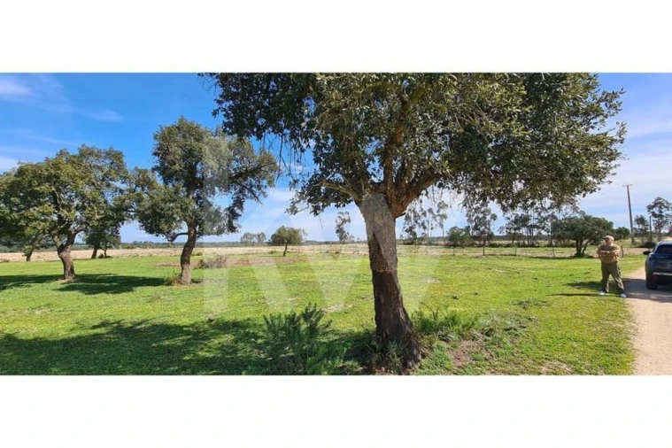 Quinta T4 para Venda em Benavente Foto 16