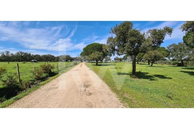 Quinta T4 para Venda em Benavente Foto 17