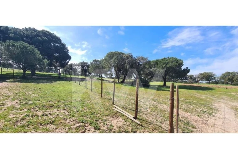 Quinta T4 para Venda em Benavente Foto 15