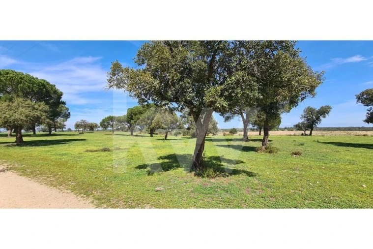 Quinta T4 para Venda em Benavente Foto 18