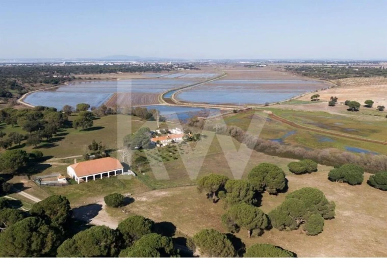 Quinta T4 para Venda em Benavente Foto 22