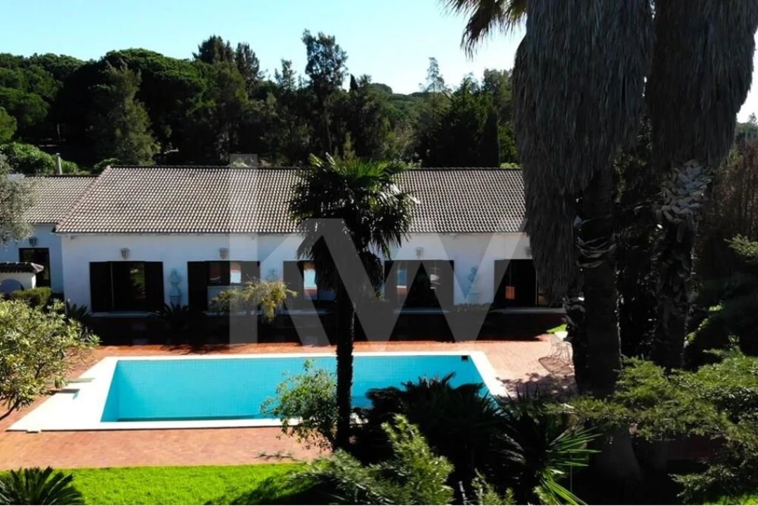 Quinta T6 para Venda em Azeitão (São Lourenço e São Simão) Foto 12