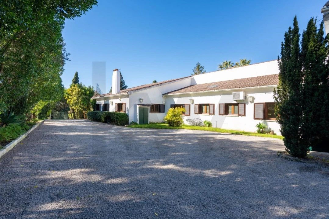 Quinta T6 para Venda em Azeitão (São Lourenço e São Simão) Foto 11