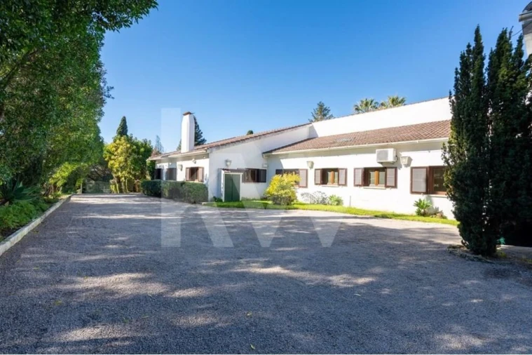 Quinta T6 para Venda em Azeitão (São Lourenço e São Simão) Foto 5