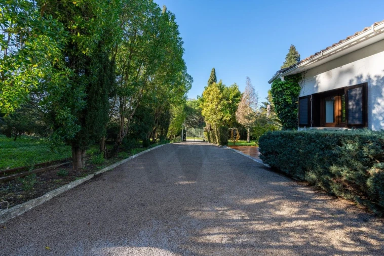 Quinta T6 para Venda em Azeitão (São Lourenço e São Simão) Foto 10