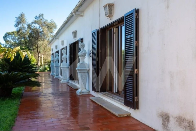 Quinta T6 para Venda em Azeitão (São Lourenço e São Simão) Foto 16