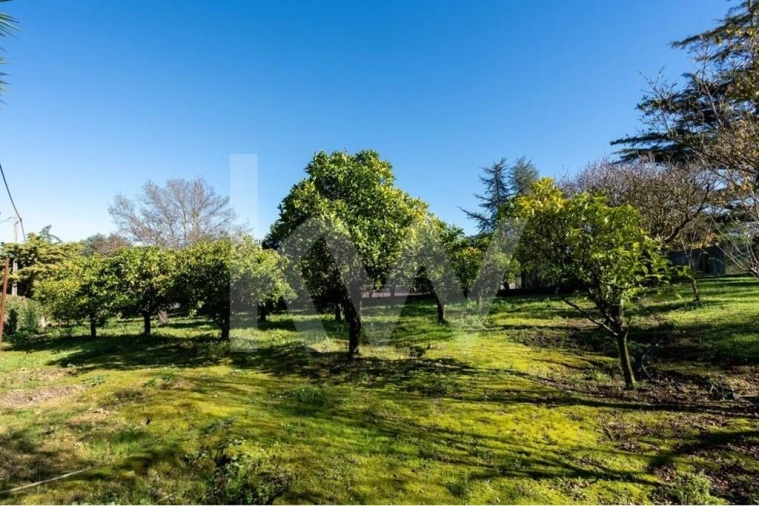 Quinta T6 para Venda em Azeitão (São Lourenço e São Simão) Foto 21