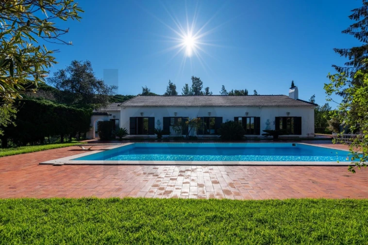 Quinta T6 para Venda em Azeitão (São Lourenço e São Simão) Foto 13