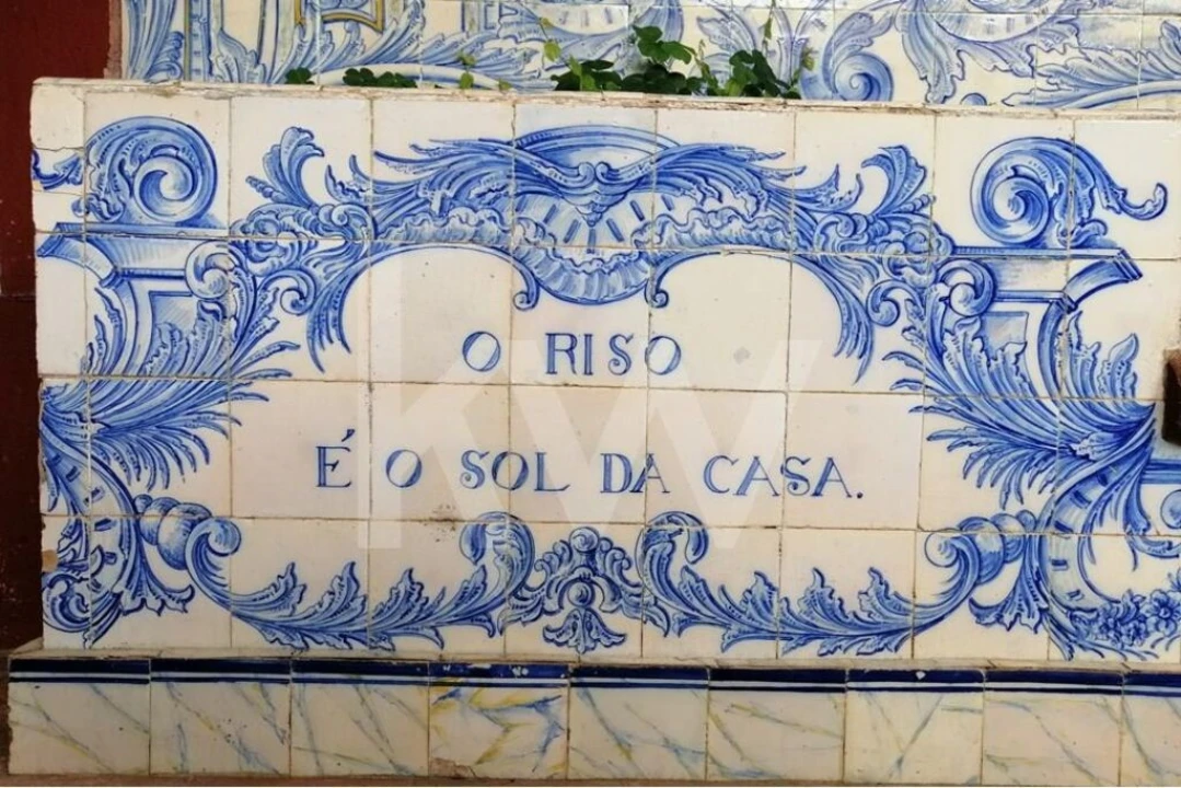 Moradia T9 para Venda em Recardães e Espinhel Foto 62