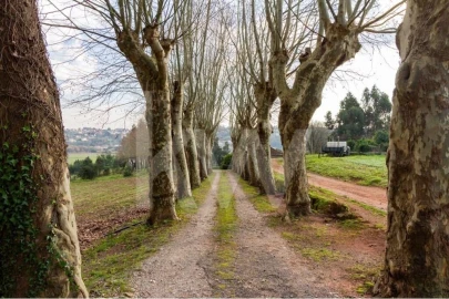 Moradia T9 para Venda em Águeda e Borralha