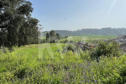 Moradia T9 para Venda em Águeda e Borralha