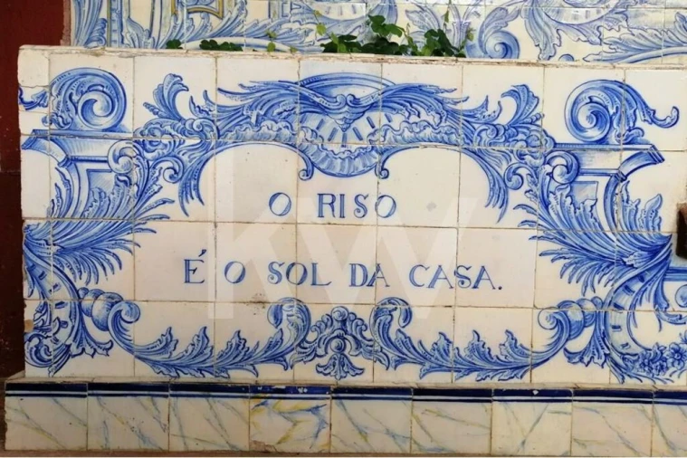 Moradia T9 para Venda em Recardães e Espinhel Foto 62