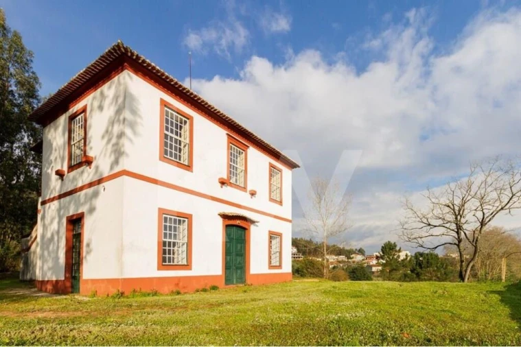 Moradia T9 para Venda em Recardães e Espinhel Foto 67