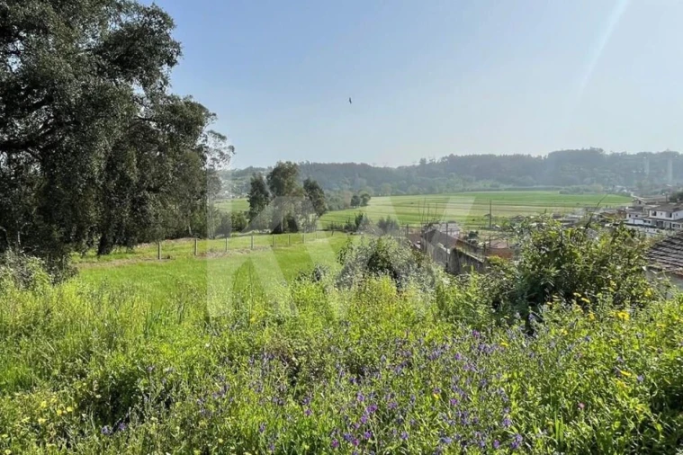 Moradia T9 para Venda em Recardães e Espinhel Foto 81