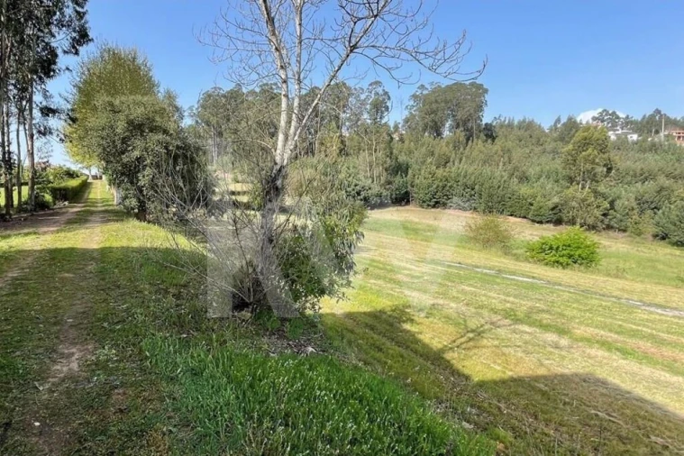 Moradia T9 para Venda em Águeda e Borralha Foto 70