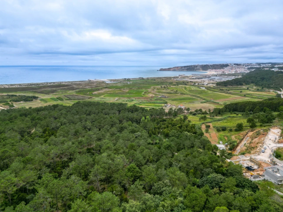 Moradia T3 para Venda em Famalicão Foto 48
