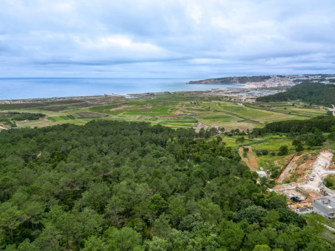 Moradia T3 para Venda em Famalicão Foto 48