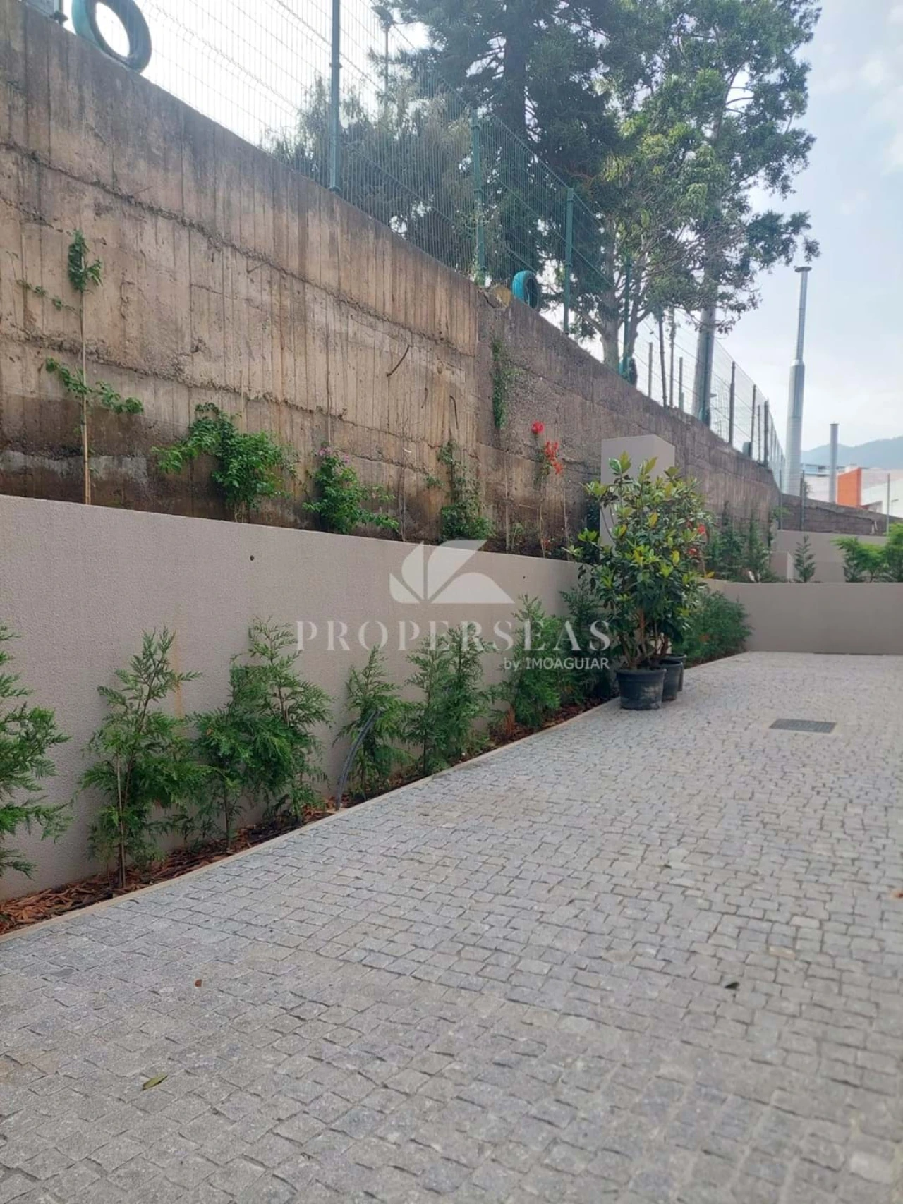 Apartamento T3 para Venda em São Martinho Foto 8
