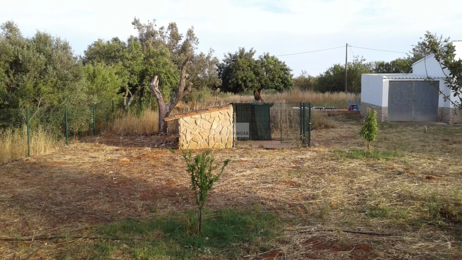 Quinta T2 para Venda em Lagos (São Sebastião e Santa Maria) Foto 6