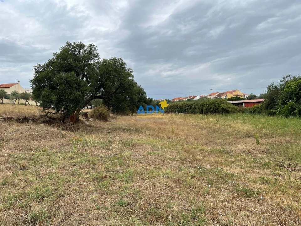 Terreno para Venda em Castelo Branco Foto 4