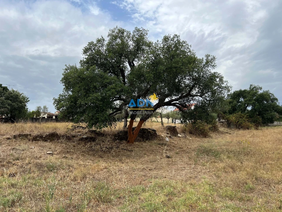 Terreno para Venda em Castelo Branco Foto 5