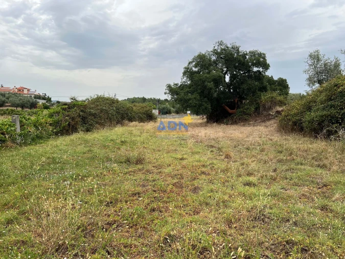 Terreno para Venda em Castelo Branco Foto 2