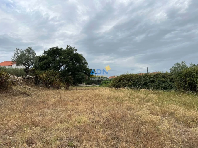 Terreno para Venda em Castelo Branco Foto 7