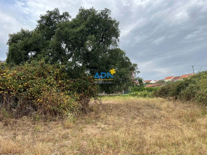 Terreno para Venda em Castelo Branco Foto 3