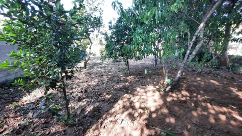 Terreno para Venda em Castêlo da Maia