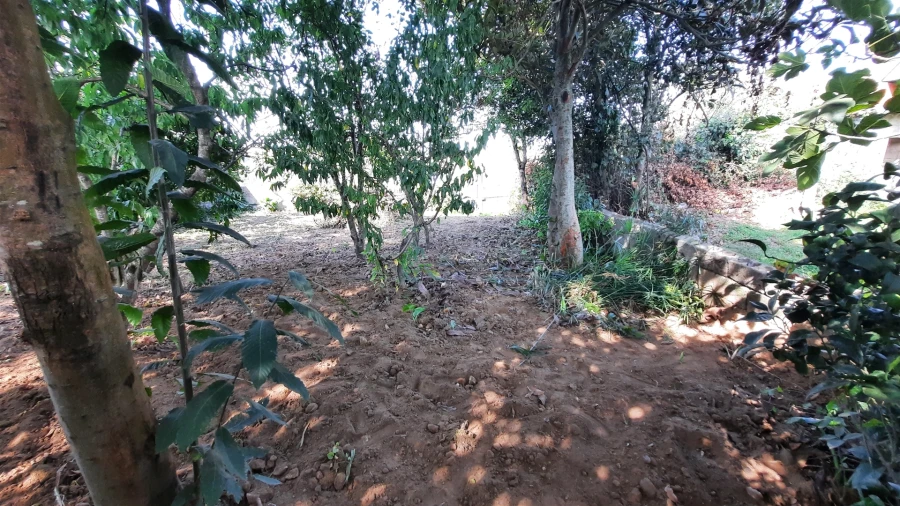 Terreno para Venda em Castêlo da Maia Foto 4