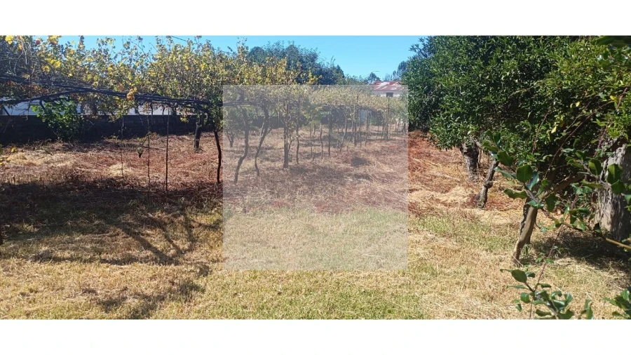 Moradia T3 para Venda em Gandra Foto 13