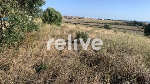 Terreno para Venda em São Domingos de Rana