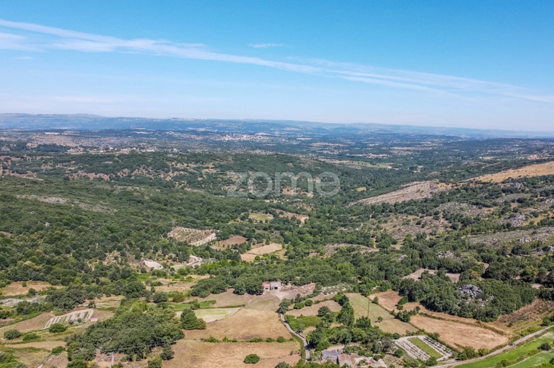 Moradia T2 para Venda em Agregação das Freguesias Sul de Pinhel Foto 35