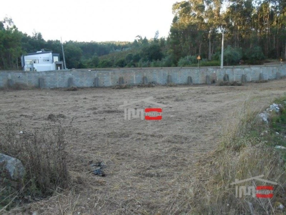 Terreno Misto para Venda em São Mamede Foto 8