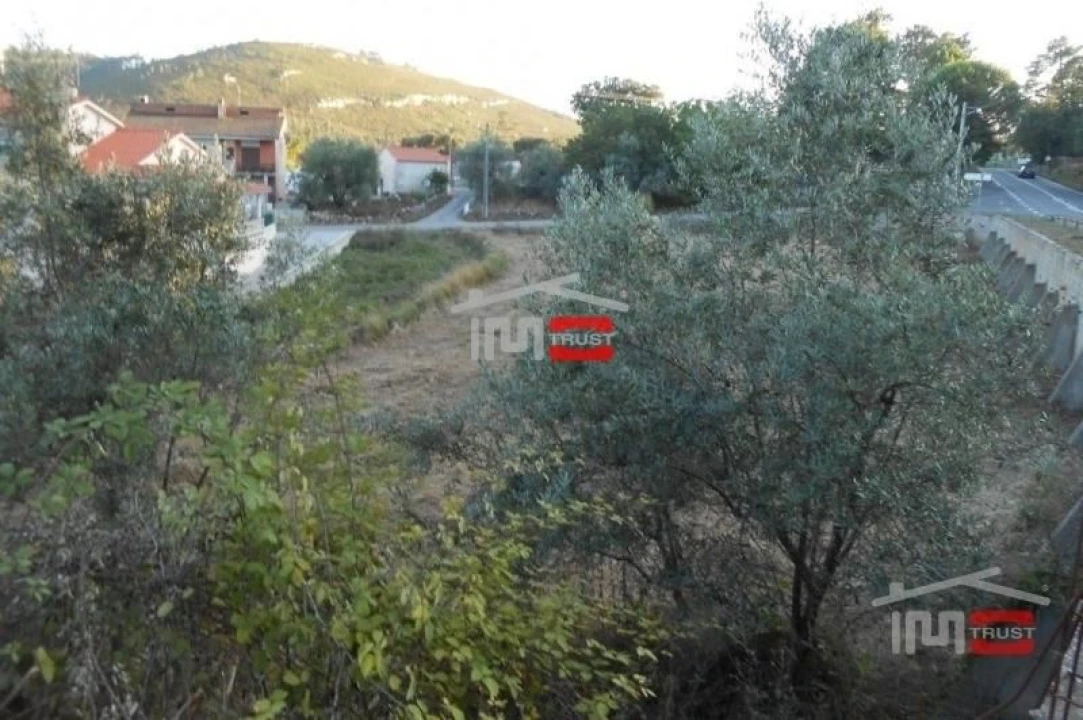 Terreno Misto para Venda em São Mamede Foto 10