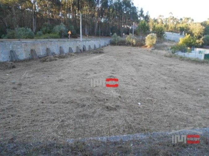 Terreno Misto para Venda em São Mamede Foto 1