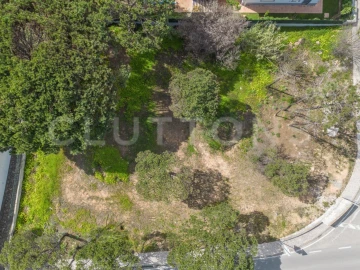 Terreno para Venda em Almancil