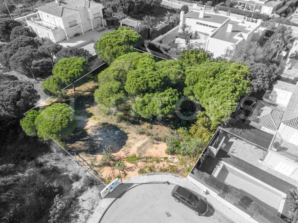 Terreno para Venda em Almancil Foto 3