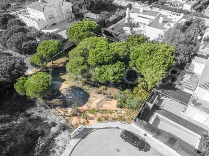 Terreno para Venda em Almancil Foto 3