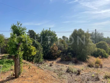 Moradia T4 para Venda em Santa Barbara de Nexe