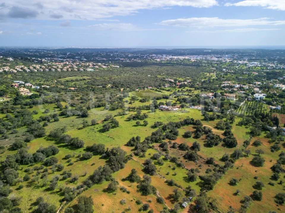 Terreno para Venda em Almancil Foto 6