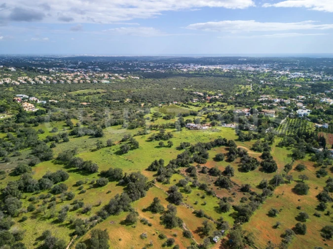 Terreno para Venda em Almancil Foto 6
