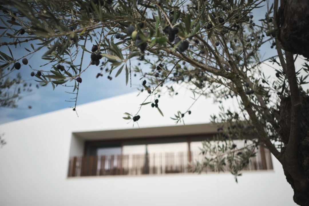 Moradia T3 para Venda em Nossa Senhora da Vila, Nossa Senhora do Bispo e Silveiras Foto 17