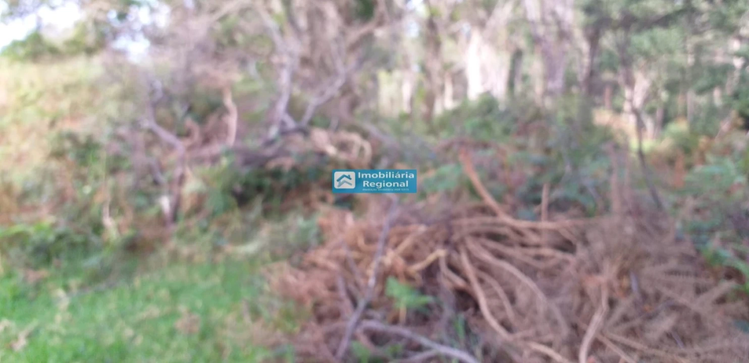 Terreno para Venda em Achadas da Cruz Foto 2