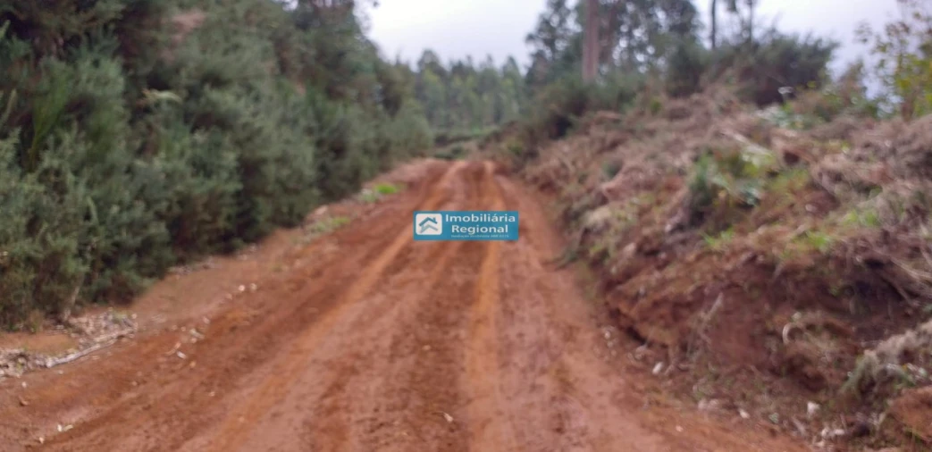Terreno para Venda em Achadas da Cruz Foto 3