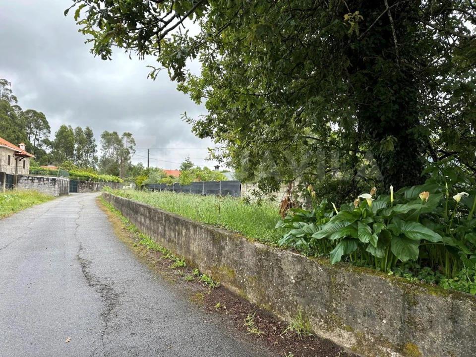 Terreno para Venda em Vila Praia de Ancora Foto 6