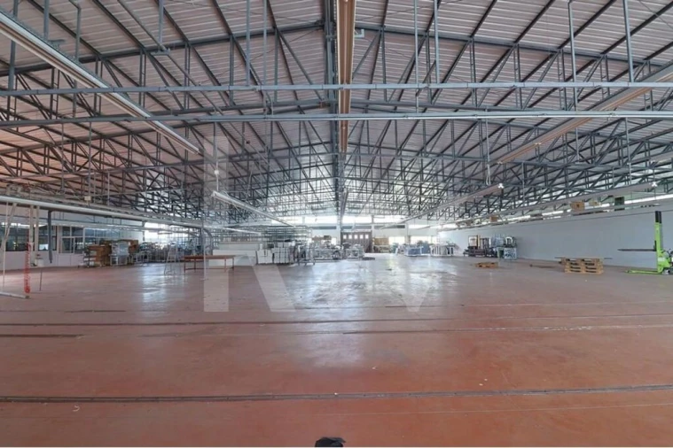 Prédio para Venda em São Mamede Foto 18