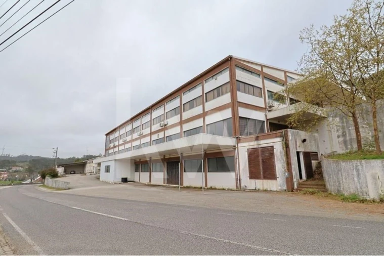 Prédio para Venda em São Mamede Foto 37