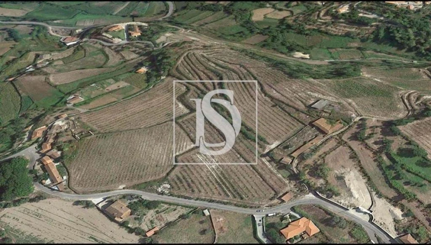 Quinta para Venda em Gandra Foto 16